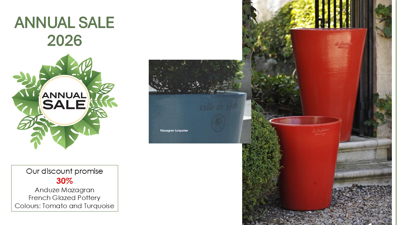Annual Sale 2026 - 2