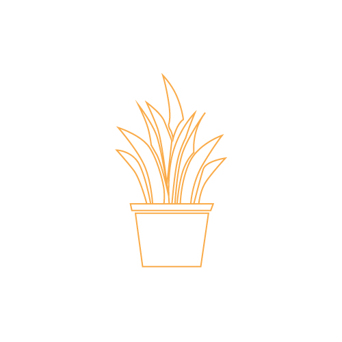 Garden Pots