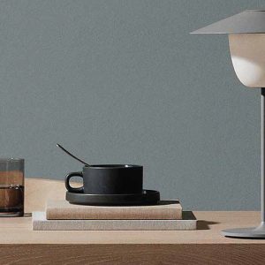 Ani LED Lamps
