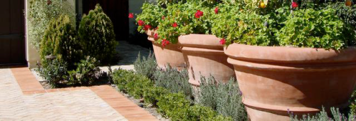 terracotta1