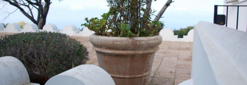 terracotta2